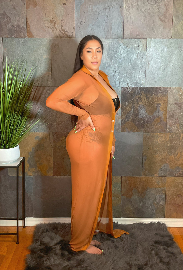 The "Ariel" Mesh Coverup Dress in Caramel | Ready to Ship
