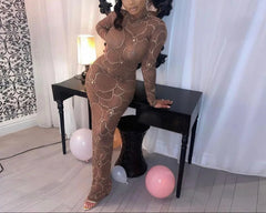 The "Kieryn" Rhinestone See Through Mesh Dress | Ready to Ship — 40% OFF